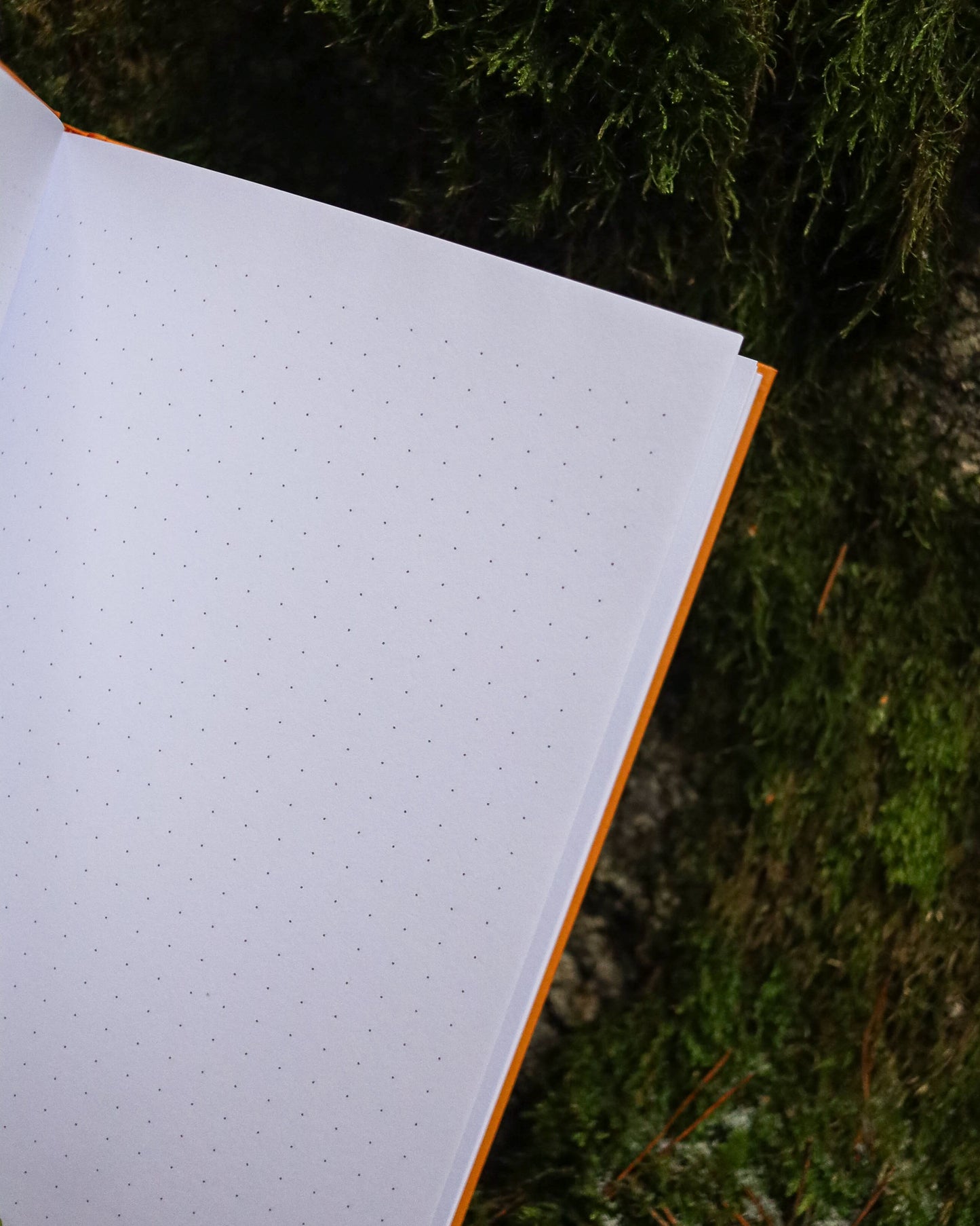 Kirjavuoren aarteet -muistikirja