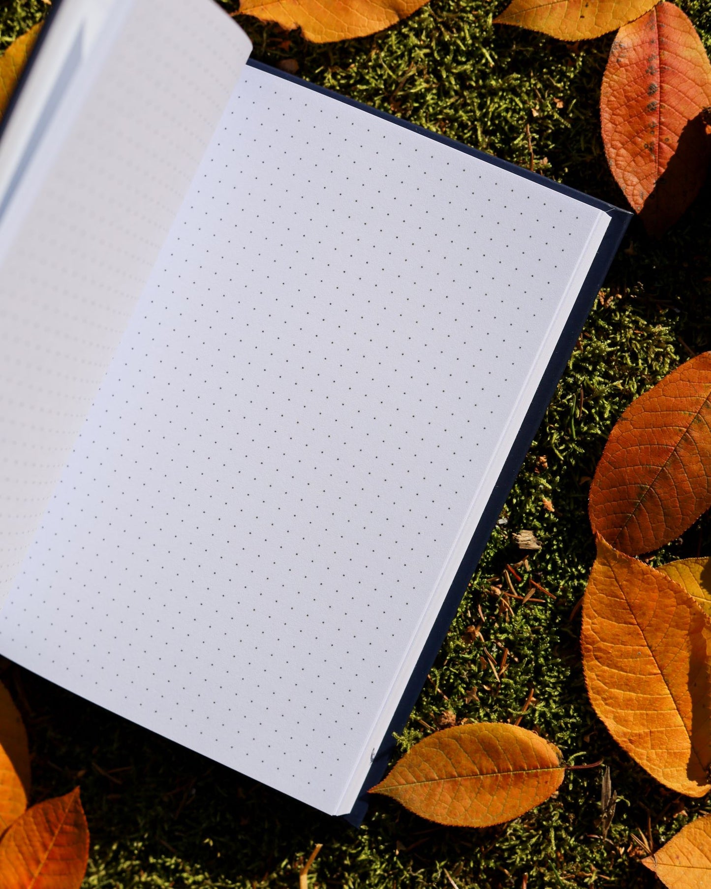 Nukkumaanmenoaika -muistikirja